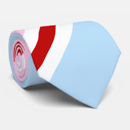 ヒジュラカラーズクラワッテ ネクタイ