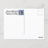 ヒスイインコ ニューヨーク州の鳥 写真 ポストカード (裏面)