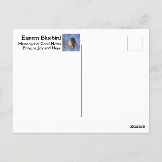 ヒスイインコ ニューヨーク州の鳥 写真 ポストカード (裏面)