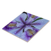 ヒスイ属(アイリス)の花 紫 タイル (側面)