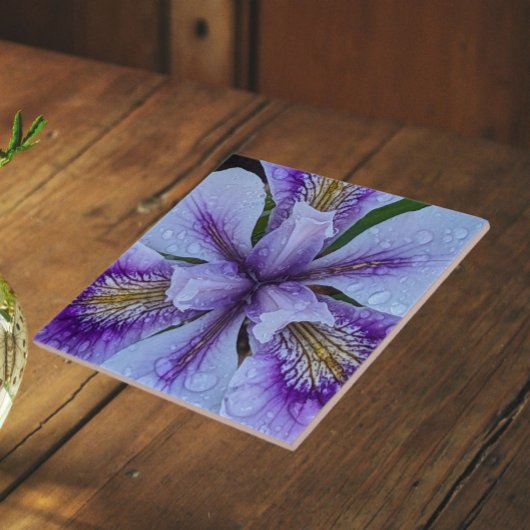 ヒスイ属(アイリス)の花 紫 タイル