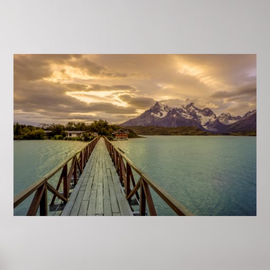 ヒステリアペホ。コルディレラデルパイン ポスター (正面)