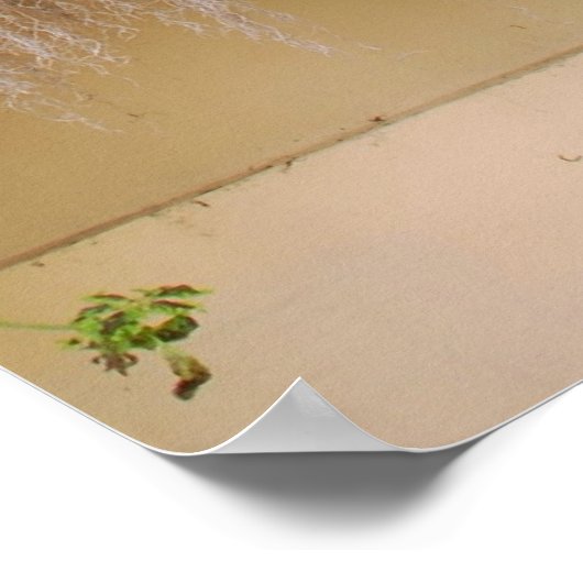 ヒストリックチャールストンウィンドウボックス ポスター (角)