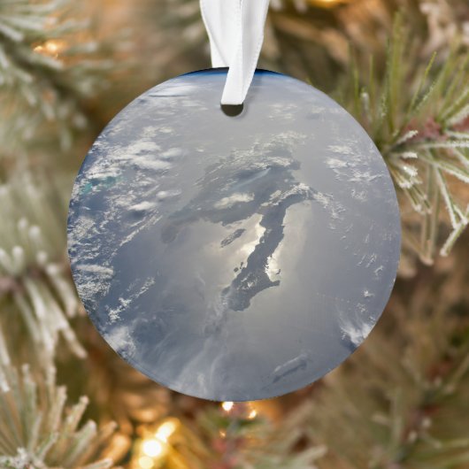 ヒスパニオーラ号の島はサングリンを持っていた オーナメント (ツリー)