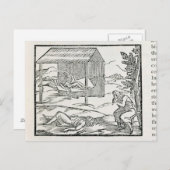 ヒスパニオーラ号の病気の先住民を治す ポストカード (正面/裏面)