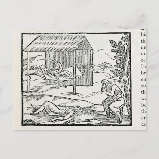 ヒスパニオーラ号の病気の先住民を治す ポストカード (正面)
