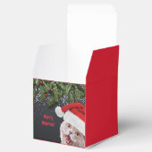 ヒスマスメリーお願い フェイバーボックス (オープン)