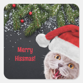 ヒスマメリース・ステッカー スクエアシール