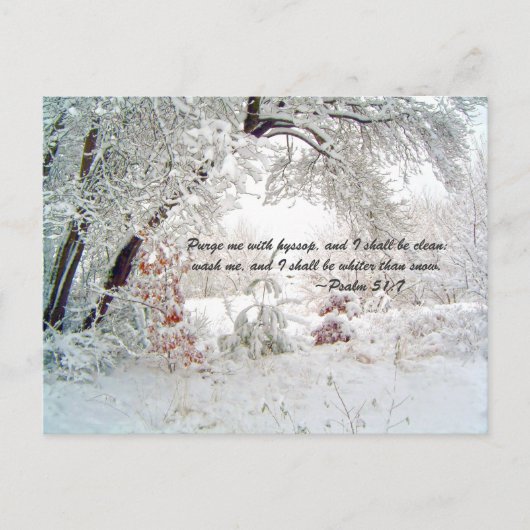 ヒソップで私を粛清して下さい、そうすれば私は清潔になります。洗う ポストカード (正面)