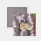 ヒソップの花に蝶とキッチンマグネット マグネット (正面/裏面)