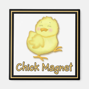 ヒック磁石 マグネット