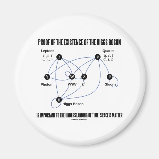 ヒッグス粒子の存在の証明 マグネット (正面)
