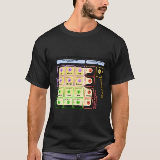 ヒッグス素粒子物理学標準研究生 Tシャツ (正面)