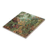 ヒッケルコケ、草、キノコ絵画のキノコ タイル (側面)