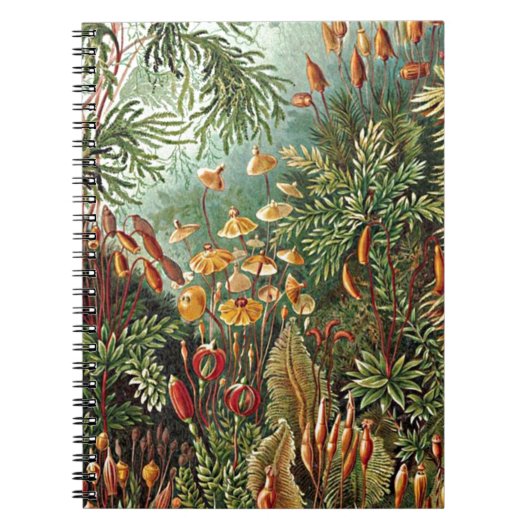 ヒッケルコケ、草、キノコ絵画のキノコ ノートブック (正面)