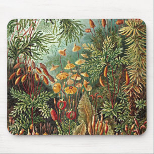ヒッケルコケ、草、キノコ絵画のキノコ マウスパッド
