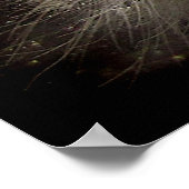 ヒッコリのタソックキャタピラ ポスター (角)