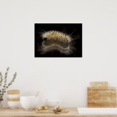 ヒッコリのタソックキャタピラ ポスター (キッチン)