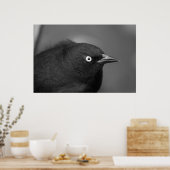 ヒッチコック怖い鳥 ポスター (キッチン)