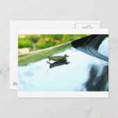 ヒッチハイキングをするバッタ ポストカード (正面/裏面)