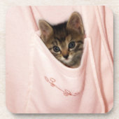 ヒッチハイク コースター (正面)