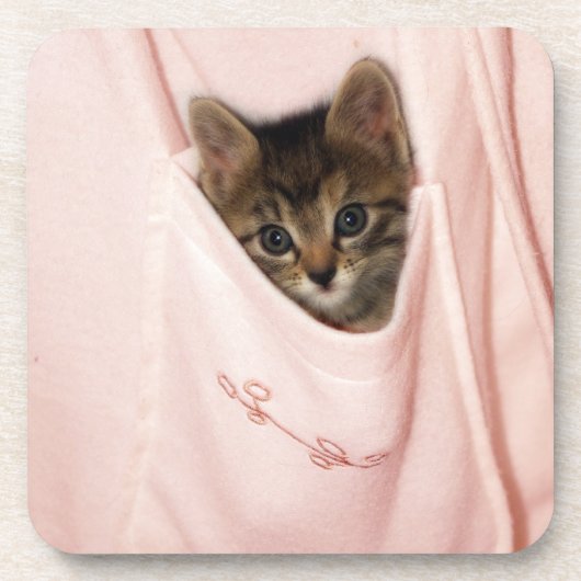 ヒッチハイク コースター (正面)