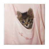 ヒッチハイク タイル (正面)