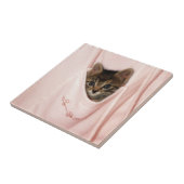 ヒッチハイク タイル (側面)