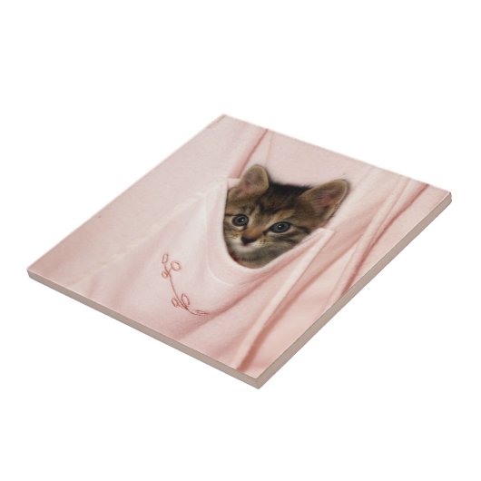 ヒッチハイク タイル (側面)