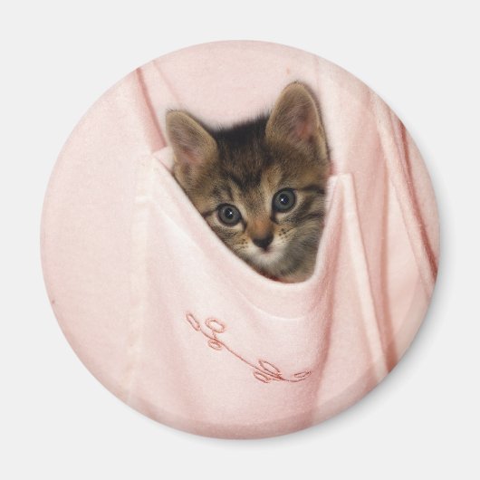 ヒッチハイク マグネット (正面)