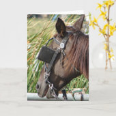 ヒッチングポストのアミッシュ·ホース カード (黄色い花)