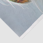 ヒッパイサーフィングラマデクページ 薄葉紙 (詳細)