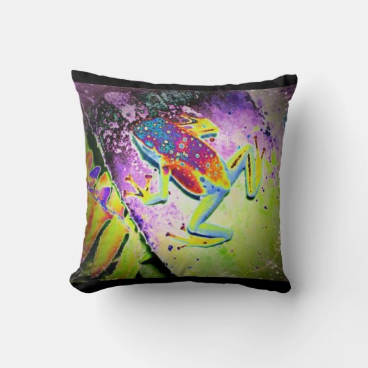 ヒッピーのカエル クッション (正面)