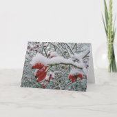 ヒッピークリスマスカード シーズンカード (裏面)