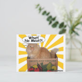 ヒッピー子猫何！肉なし?! ポストカード (スタンド正面)