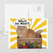 ヒッピー子猫何！肉なし?! ポストカード (正面/裏面)