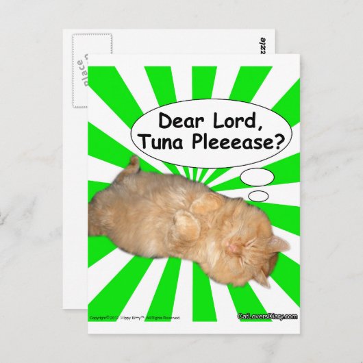 ヒッピー親愛子猫主マグロのプリーゼ? ポストカード (正面/裏面)