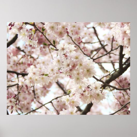 ヒップスターのポスター ポスター (正面)