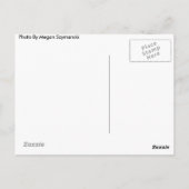 ヒップスター何？ ポストカード (裏面)