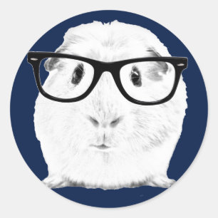 ヒップスターPigster ラウンドシール