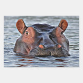 ヒップ ラッピングペーパーシート (正面2)