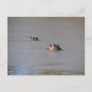 ヒッポの視線 ポストカード