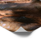 ヒッポスプラッシュ ポスター (角)