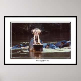 ヒッポセレントゲティ ポスター