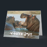 ヒッポタマおもしろいスHippo Happy 21st Birthday カード<br><div class="desc">このデザインはおもしろいヒポポタミのグループをイメージ！誕生日や記念日などの特別な機会に最適。メッセージもし、年齢、またはフォントを変更してデザインをパーソナライズしたい場合は、「デザインの編クリック集」にお願いします。</div>