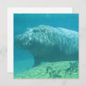 ヒッポタムス招待状 招待状 (正面/裏面)