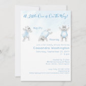 ヒッポホレイソメルサルト男の赤ちゃんシャワー招待状 招待状 (正面)