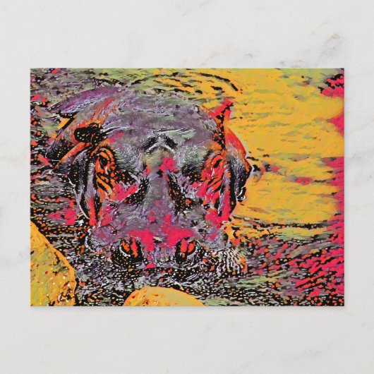 ヒッポポストカード ポストカード (正面)