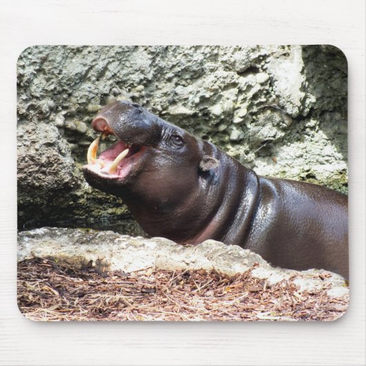 ヒッポ動物 マウスパッド (正面)