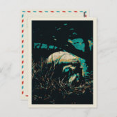 ヒッポ川に近いヒッポタマス ポストカード (正面/裏面)